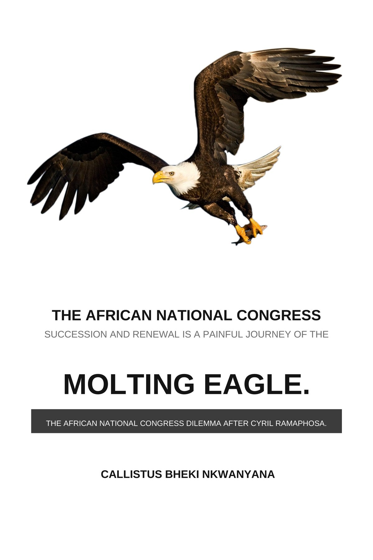 Cover of The Molting Eagle by Callistus Bheki Nkwanyana